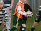 Beverley RUFC: Mini Section Tag Rugby