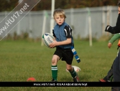 Beverley RUFC: Mini Section Tag Rugby