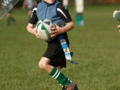 Beverley RUFC: Mini Section Tag Rugby