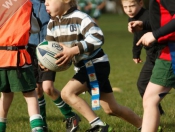 Beverley RUFC: Mini Section Tag Rugby