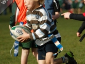 Beverley RUFC: Mini Section Tag Rugby