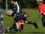 Beverley RUFC Mini's Return To Training