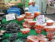 Beverley Saturday Market Shoppers