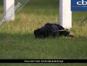 Beverley RUFC Vs Hull