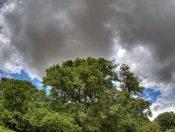 Beverley Westwood Clouds