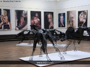 Body of Work Art Exhibition