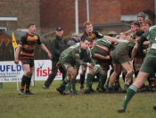 Beverley RUFC