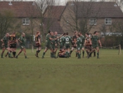 Beverley RUFC