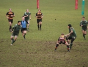 Beverley RUFC