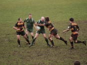 Beverley RUFC