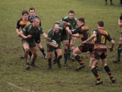 Beverley RUFC