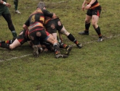 Beverley RUFC