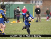 Beverley Braves