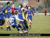 Beverley Braves