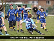 Beverley Braves