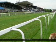 Beverley Race Course