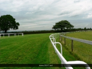 Beverley Race Course