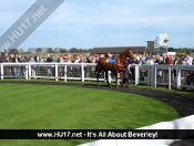 Beverley Races