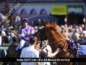 Beverley Races