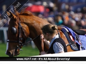 Beverley Races