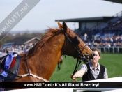 Beverley Races