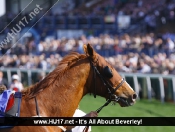 Beverley Races