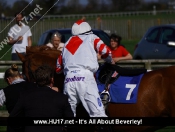 Beverley Races