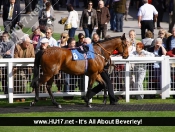 Breathless Kiss Claims Feature Race Win at Beverley