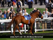 Breathless Kiss Claims Feature Race Win at Beverley