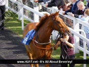 Breathless Kiss Claims Feature Race Win at Beverley