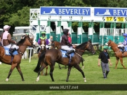 Beverley Racecourse