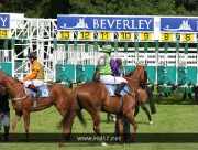 Beverley Racecourse