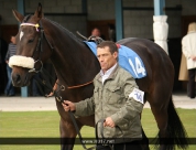 Beverley Races