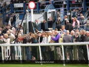 Beverley Races