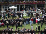 Beverley Races