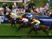 Beverley Races