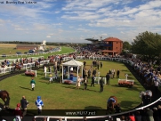 Beverley Races