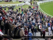 Beverley Races