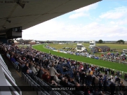 Beverley Races