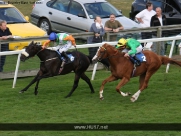 Beverley Races