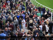 Beverley Races