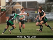 Beverley RUFC