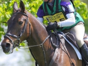 Bishop Burton College Town & Country Day