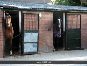 Bleach Yard Equestrian Centre - Bleach Yard, Beverley, East Yorkshire - 01482 882557