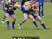 Blue & Golds Go Down Fighting In Hull
