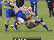 Blue & Golds Go Down Fighting In Hull