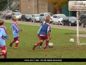 Boxfish Outsmart Sharks In Boys Sunday League