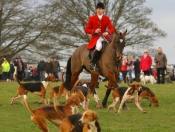 Boxing Day Hunt On The Beverley Westwood