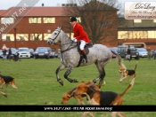 Boxing Day Hunt On The Beverley Westwood