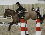 British Showjumping